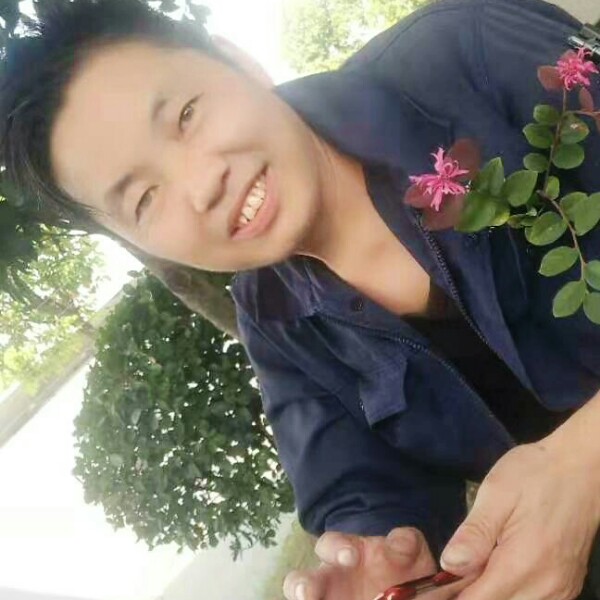 舞蹈回首迷离的照片