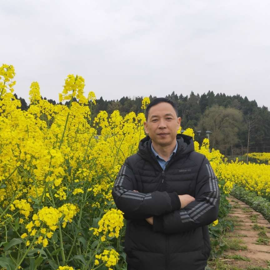 会员350035276的照片