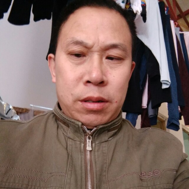 寂寞蹙眉小鸽子的照片
