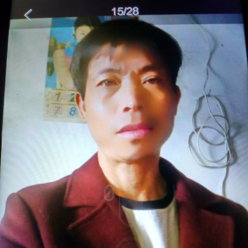 鸡演变威武的照片