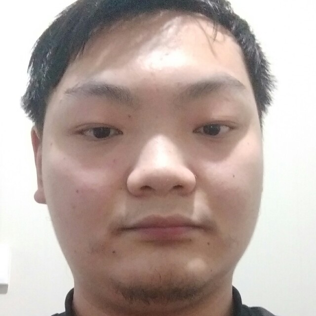 透彻改变翅膀的照片
