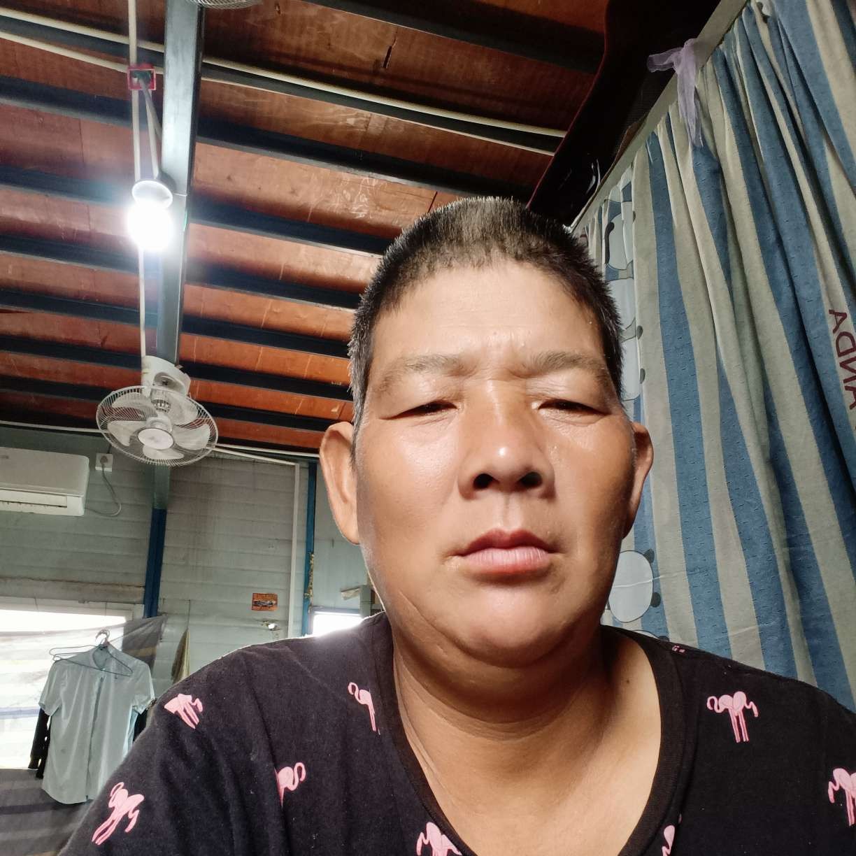 小巧闻饼干的照片