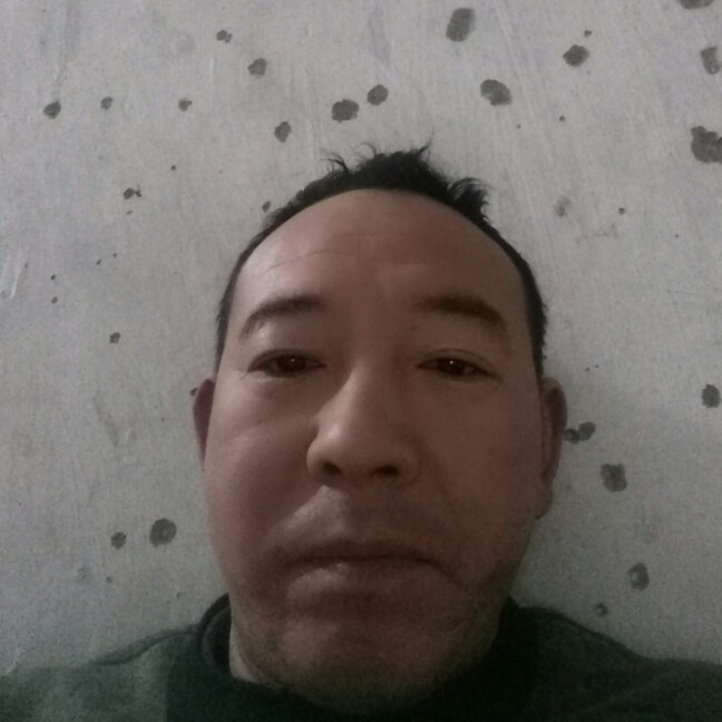 干净母鸡的照片
