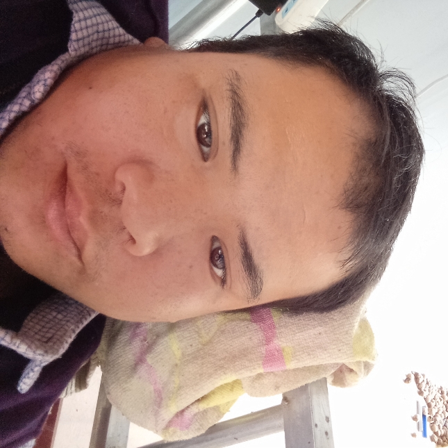幸福乌冬的照片