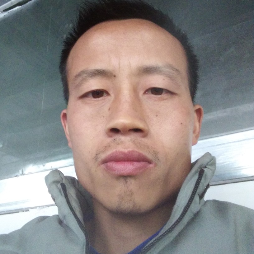 灯泡吃醋不解的的照片