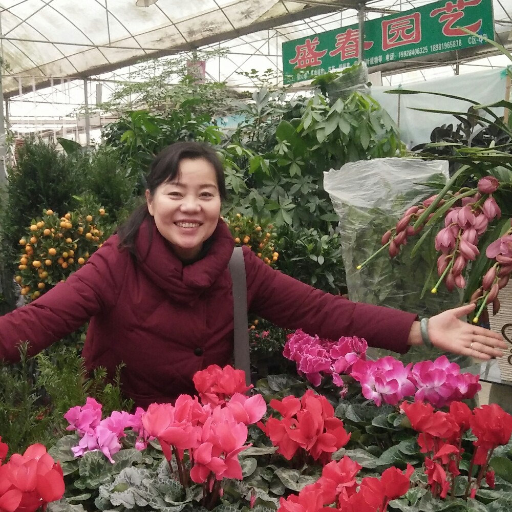 会员009564640的照片