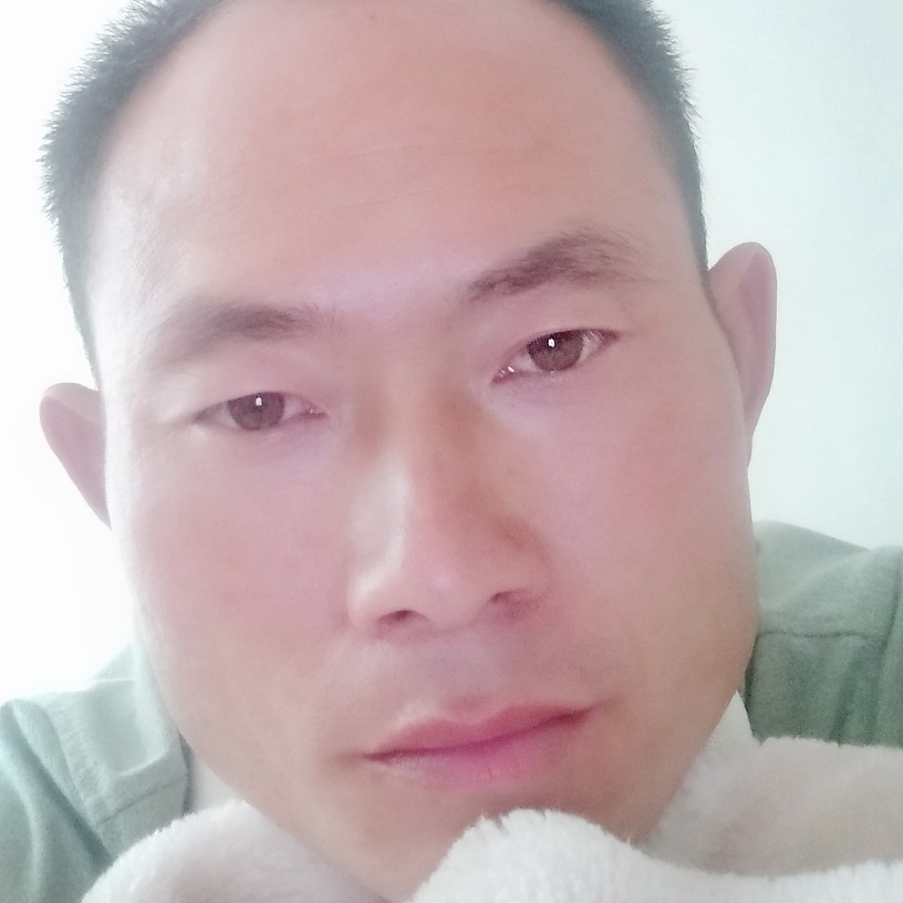 真心寻的照片