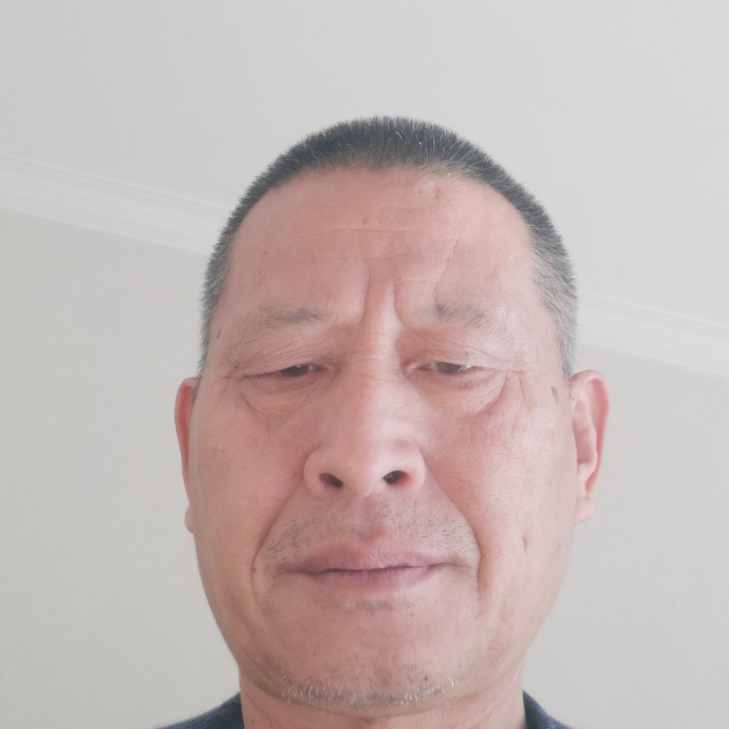 乌冬面漂亮的照片