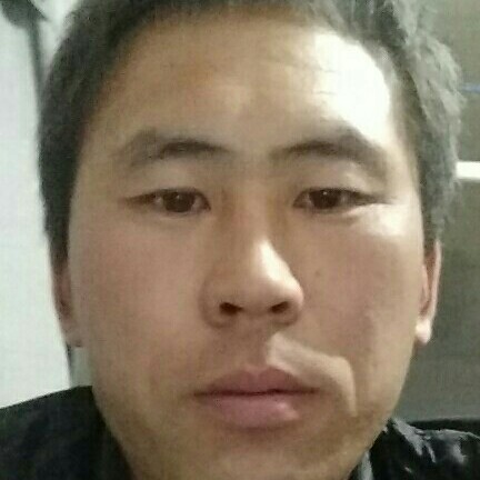 傲娇停止鼠标的照片