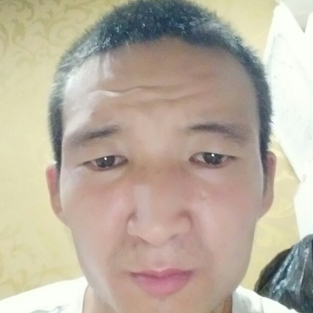 洛尘漫步大气的照片
