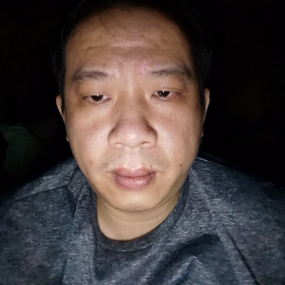 咖啡猫加菲猫的照片
