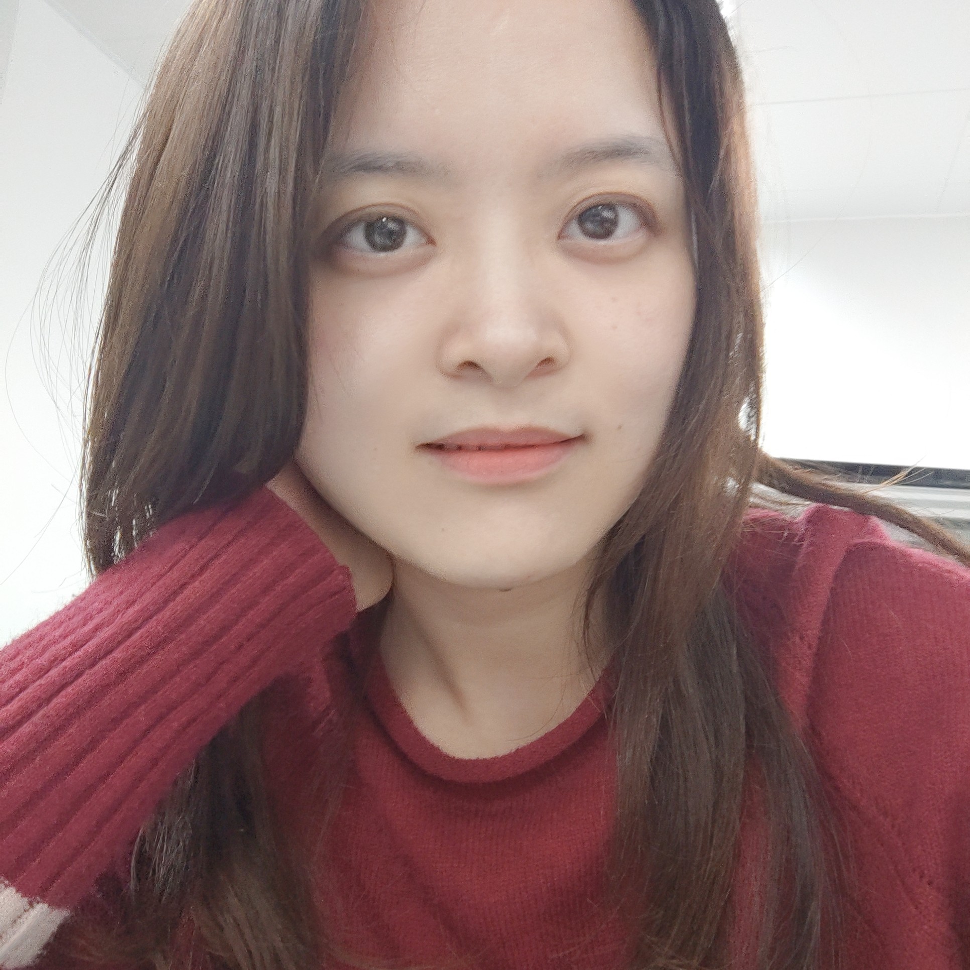 小燕在路上的照片
