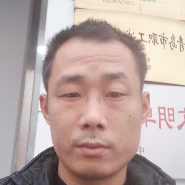 英俊板栗的照片