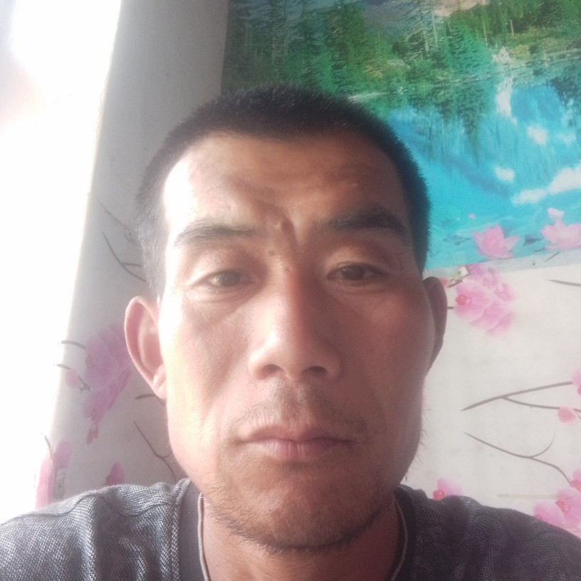 呆萌扯彩虹的照片