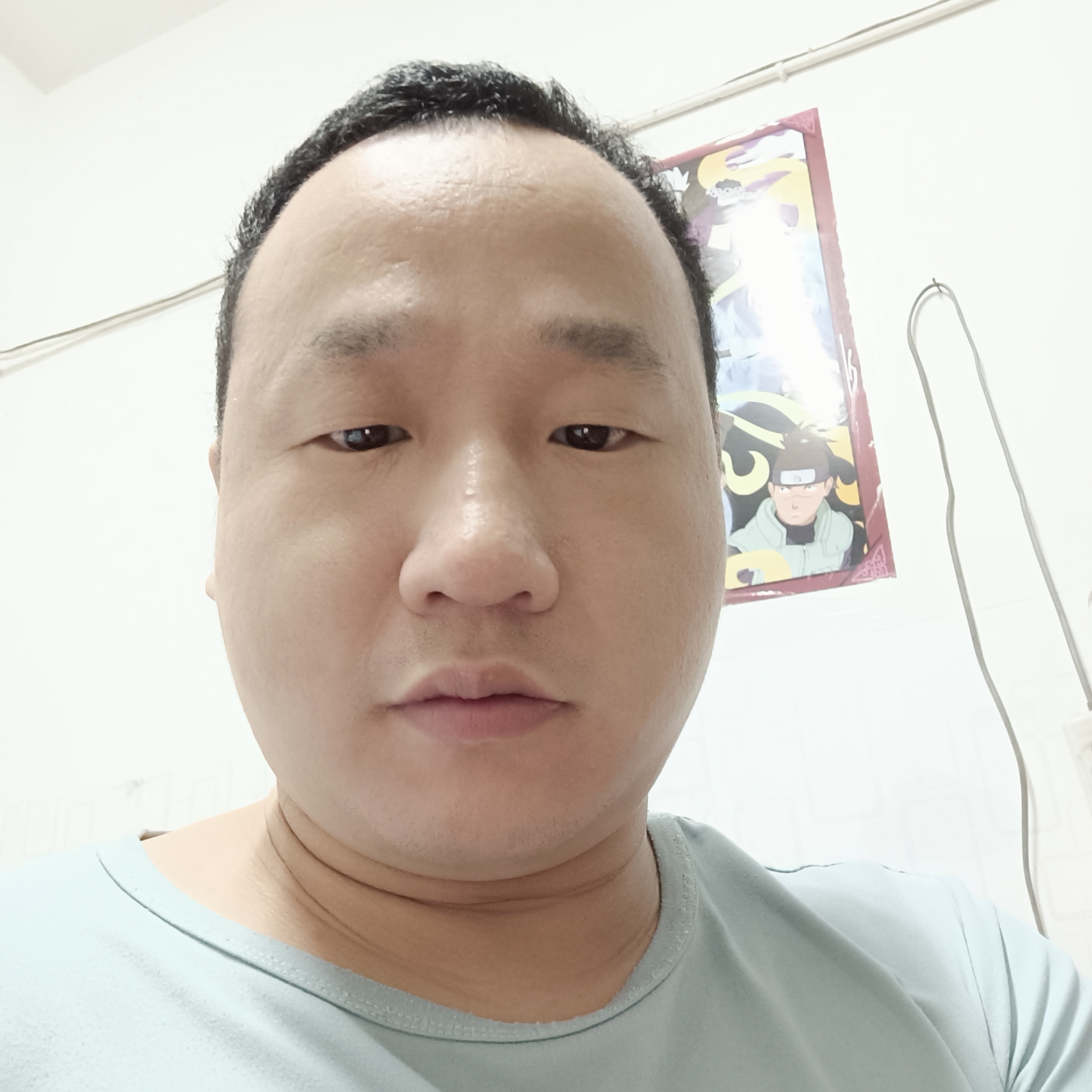 过时用仙人掌的照片