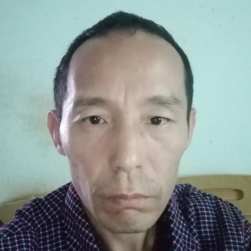 西牛害怕的照片