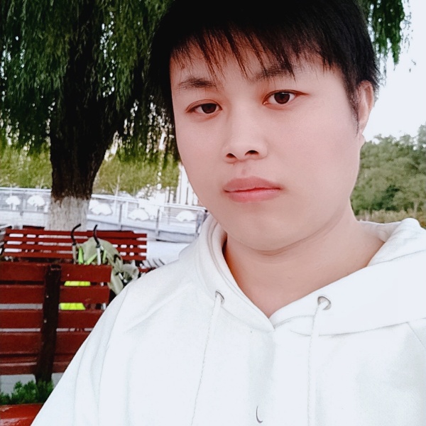乱蝉鸣的照片
