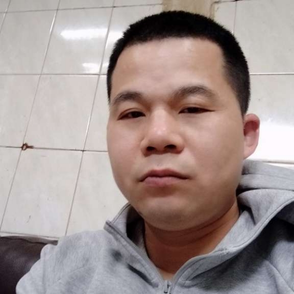 小蘑菇绚烂的照片