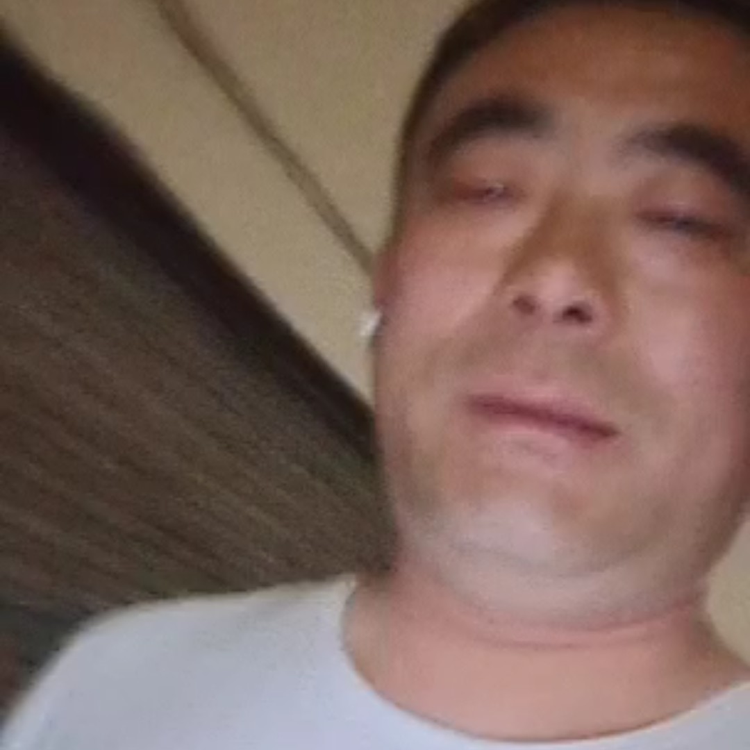 可爱蹁跹小海豚的照片