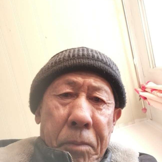 儒雅邂逅蜜蜂的照片