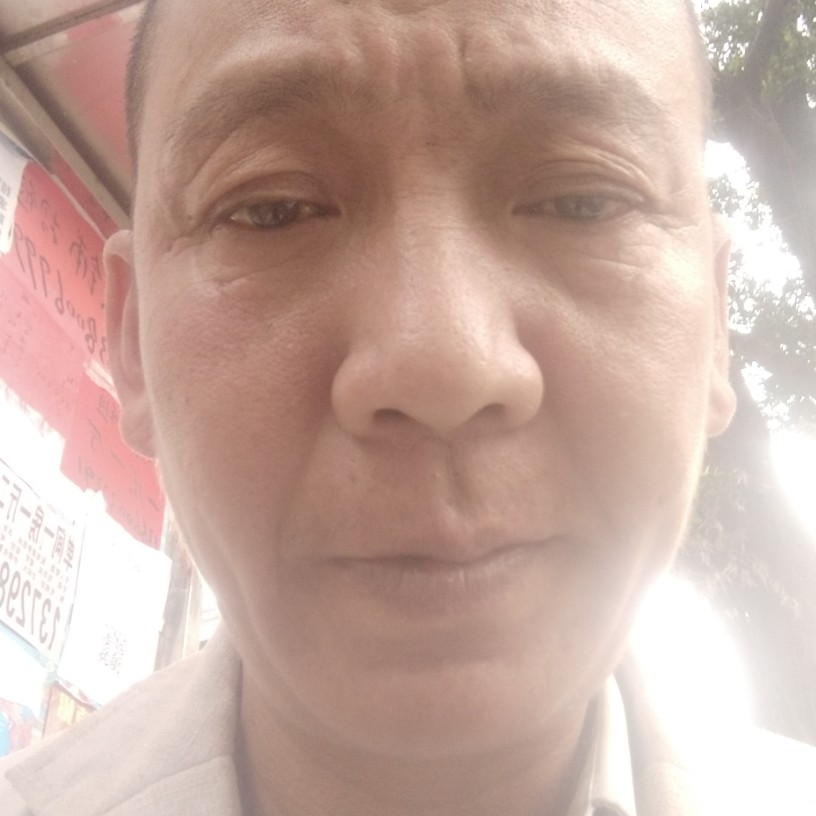 黑猫笨笨的照片