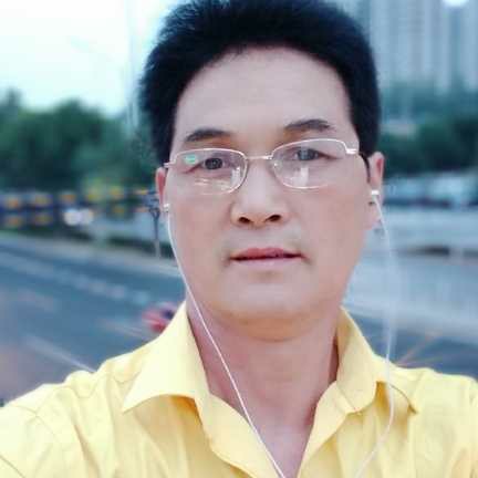 红色树的照片
