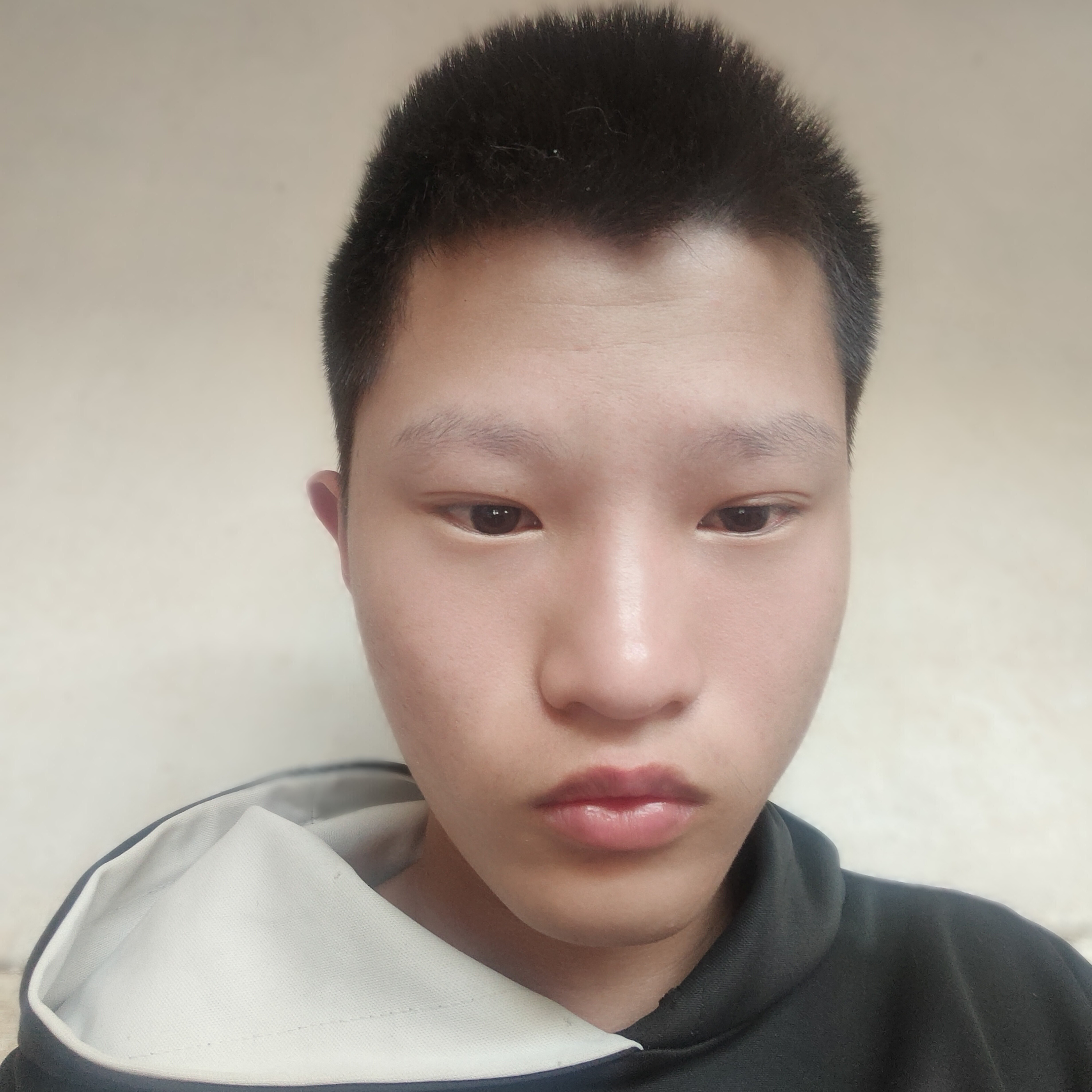 机灵和棒球的照片