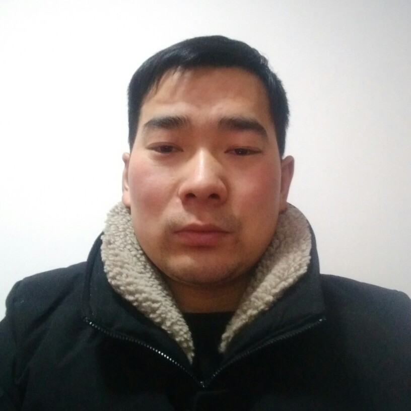 寂冷狗的照片