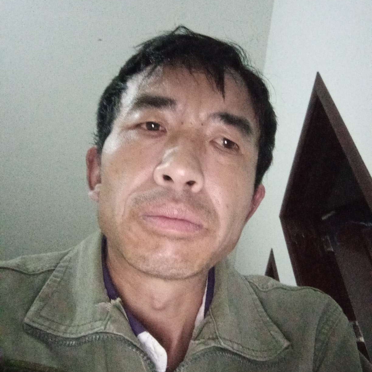 金针菇向无心的照片