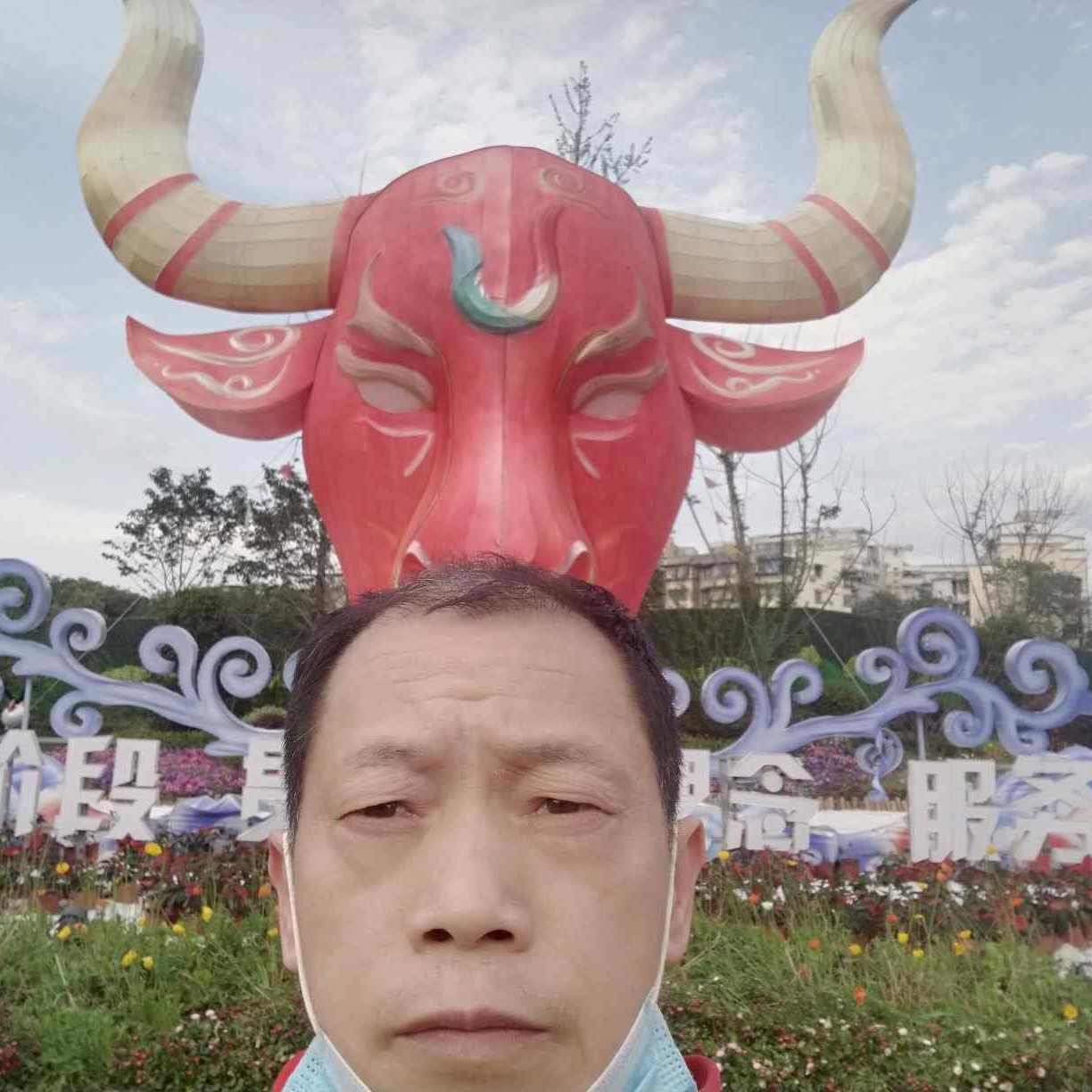薛楠青朱植物快繁的照片