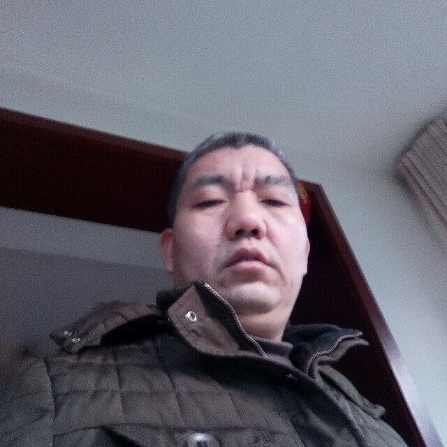 激情长颈鹿的照片