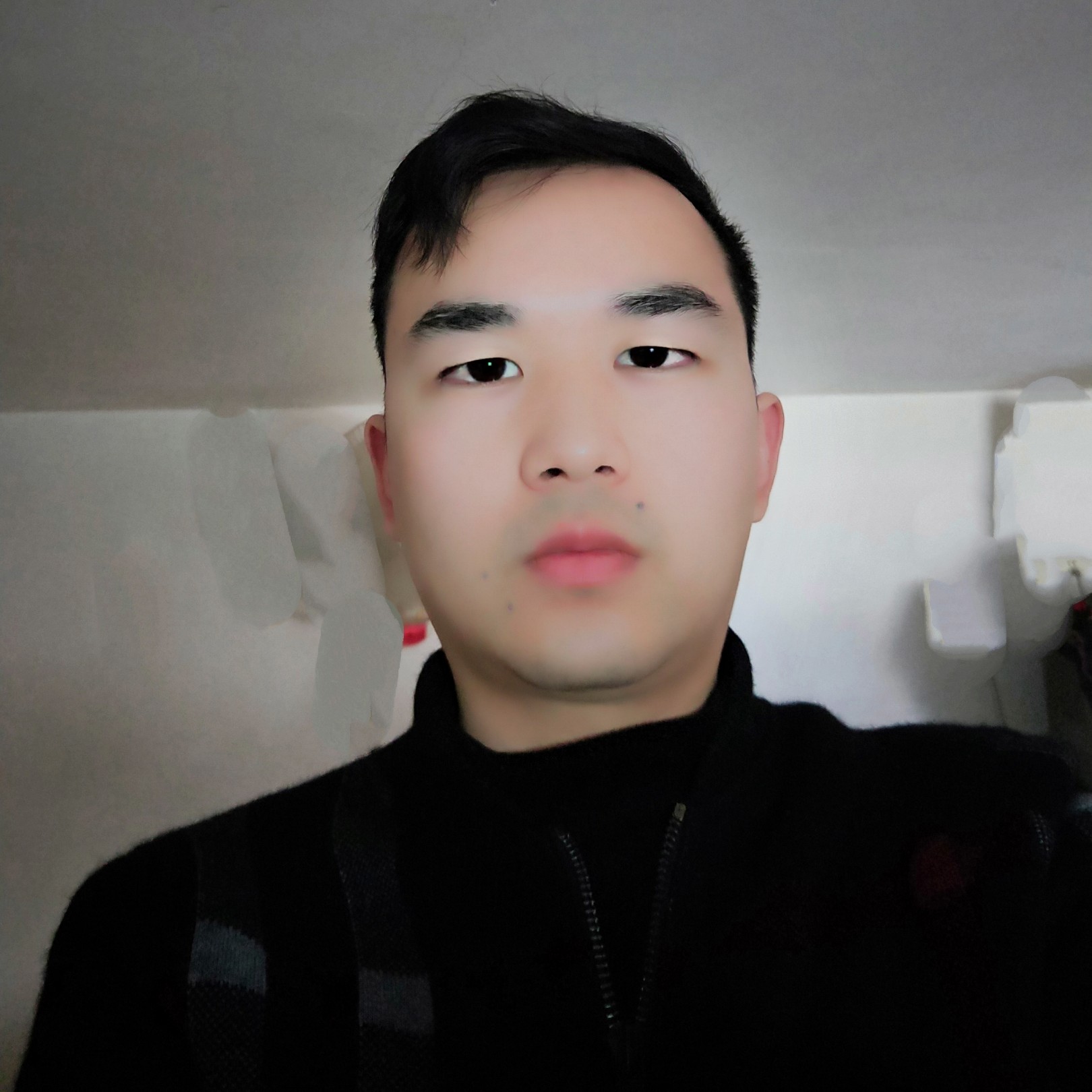 大树拉长的照片