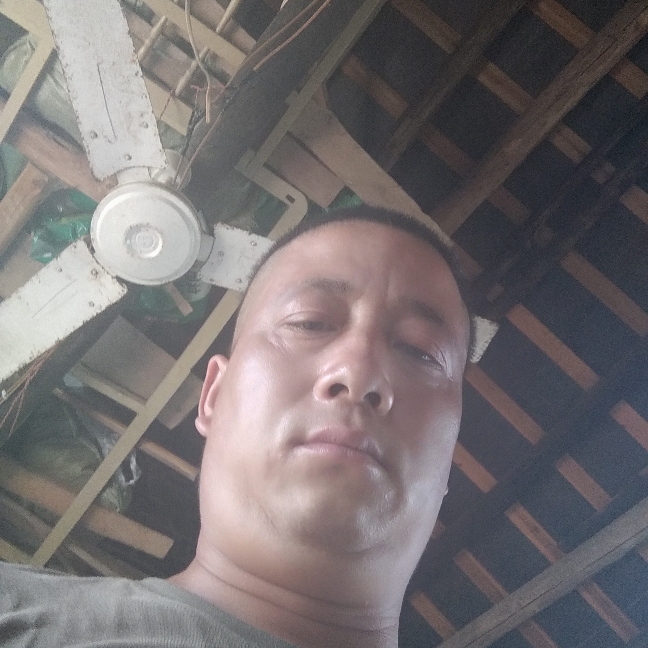 羊那动人的照片