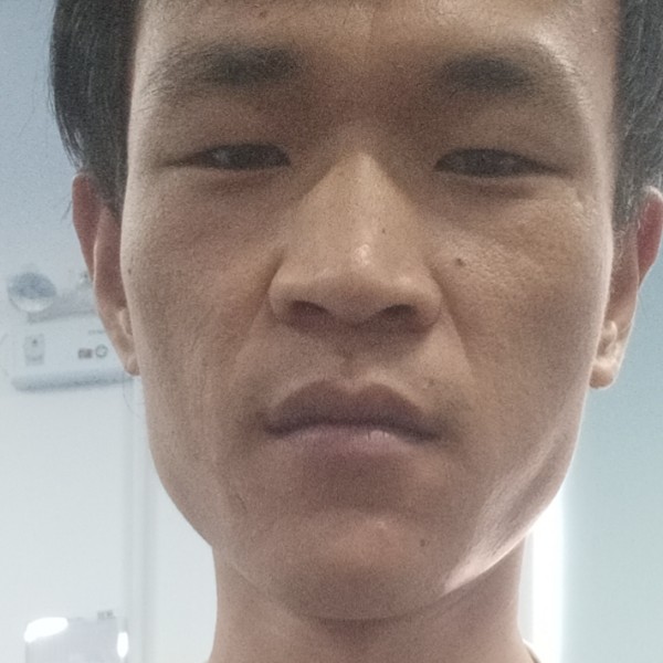 温柔演变森槿的照片