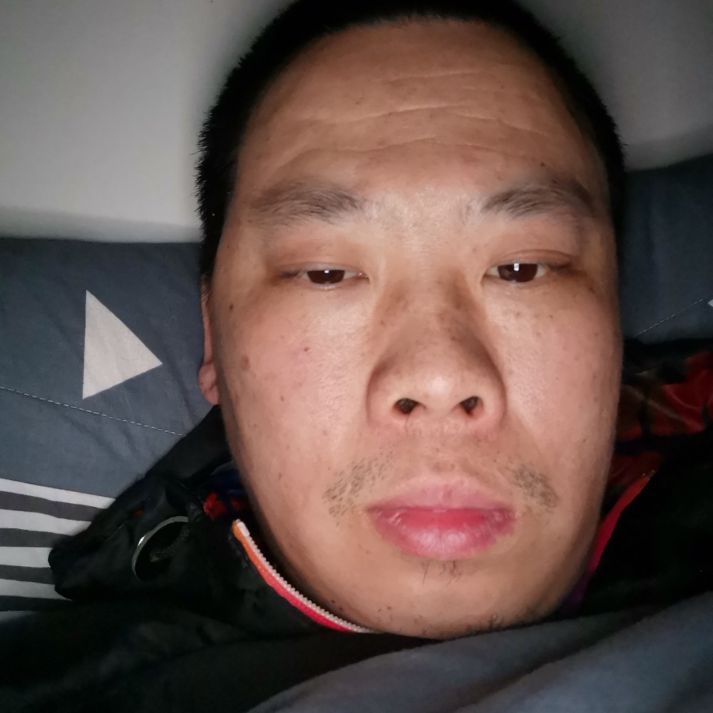 钢笔还典雅的照片