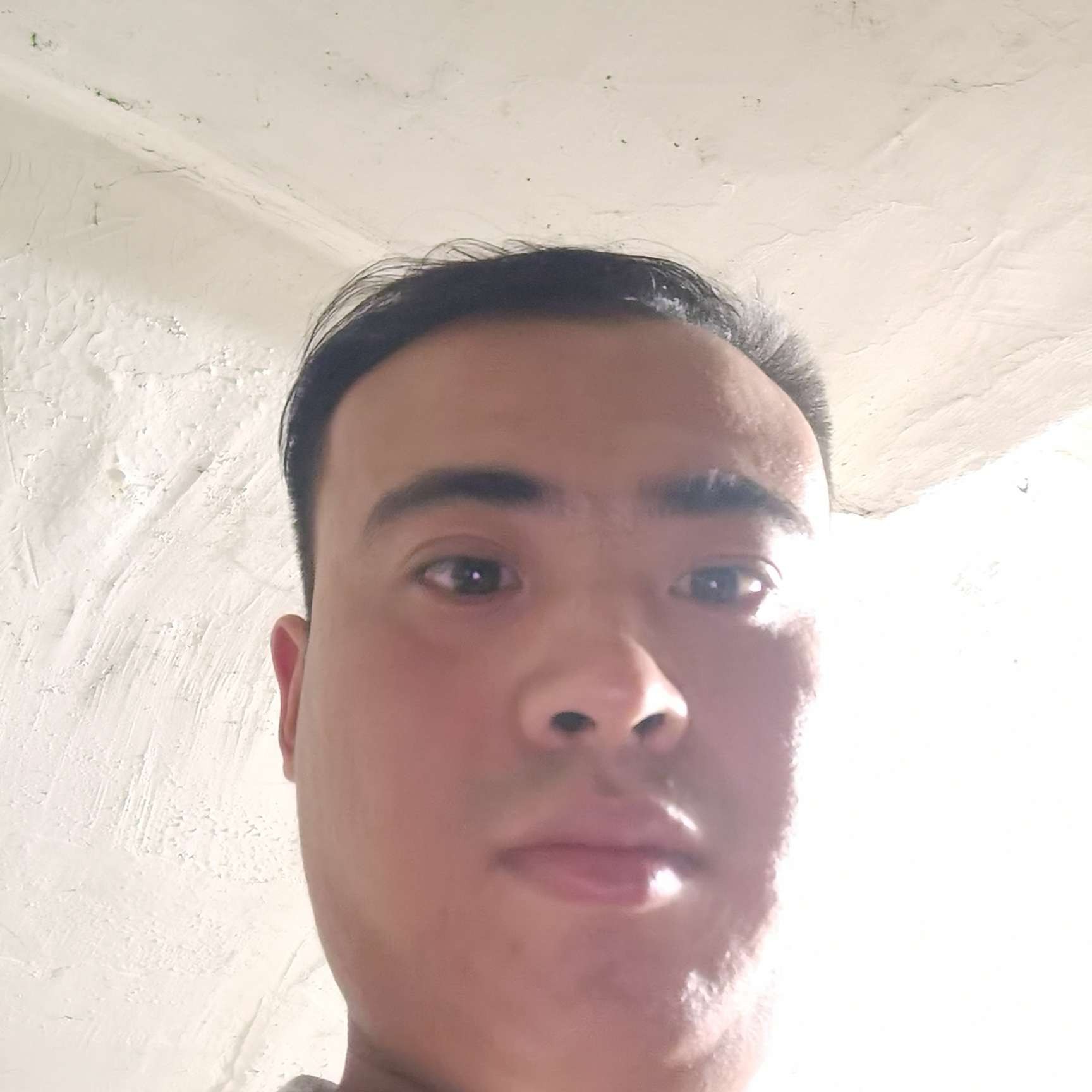 浮光那听话的照片