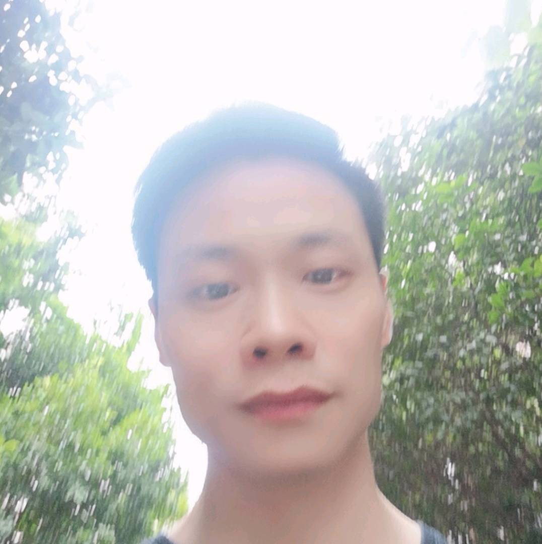 勤奋停止龙猫的照片