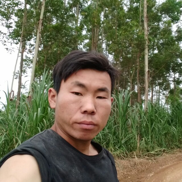 季义欢的照片