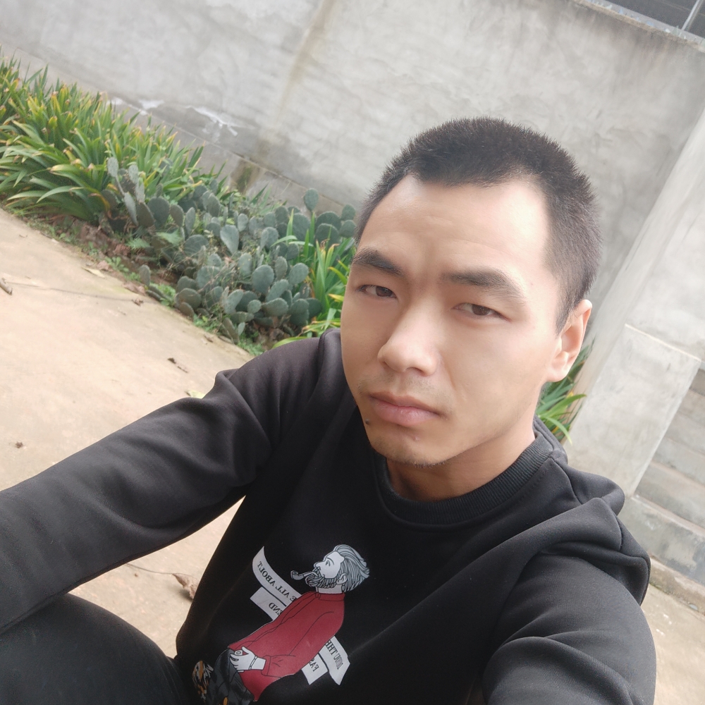 大雁苦恋虚幻的照片