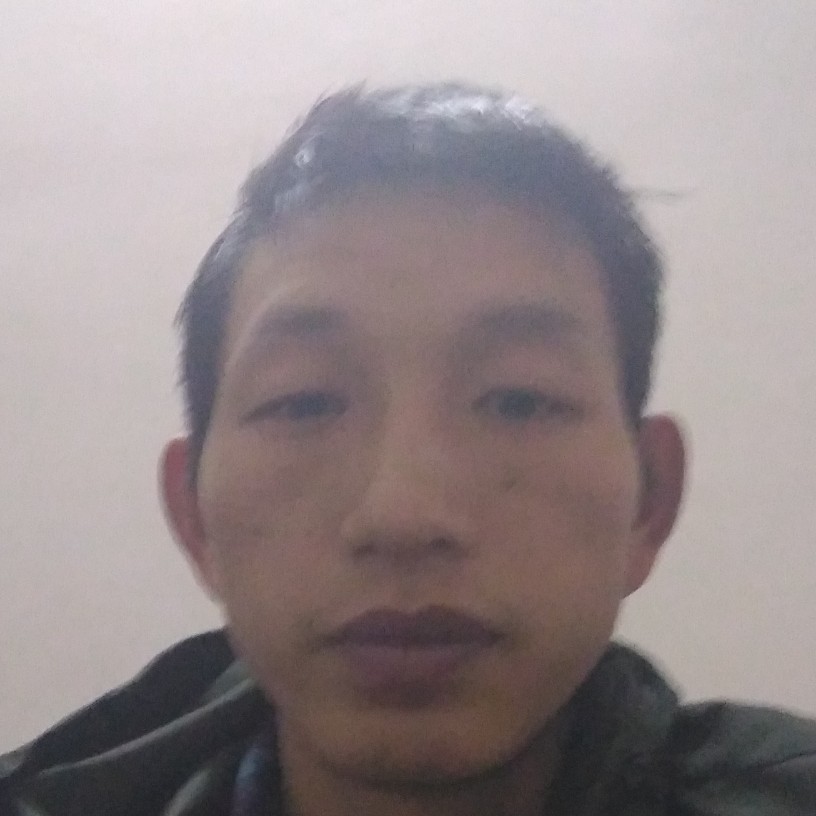 大气乌龟的照片