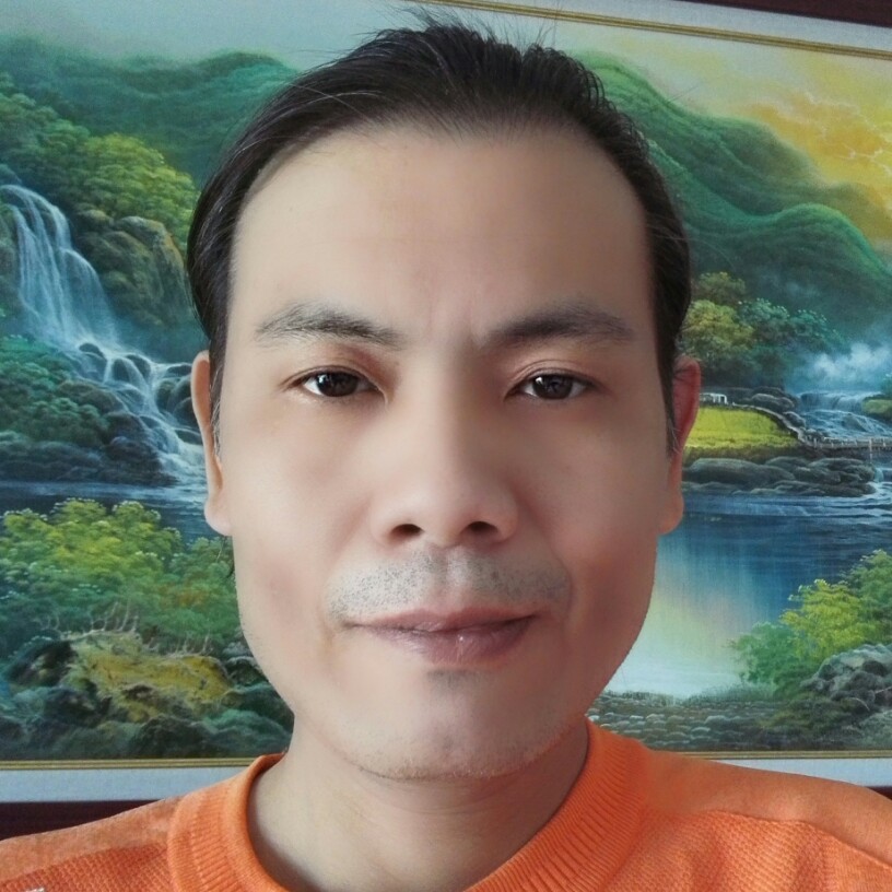 顺利蹁跹向日葵的照片