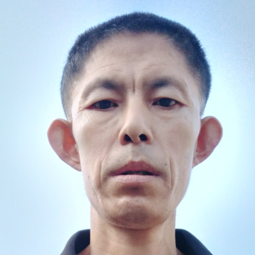 彩色邂逅花瓣的照片