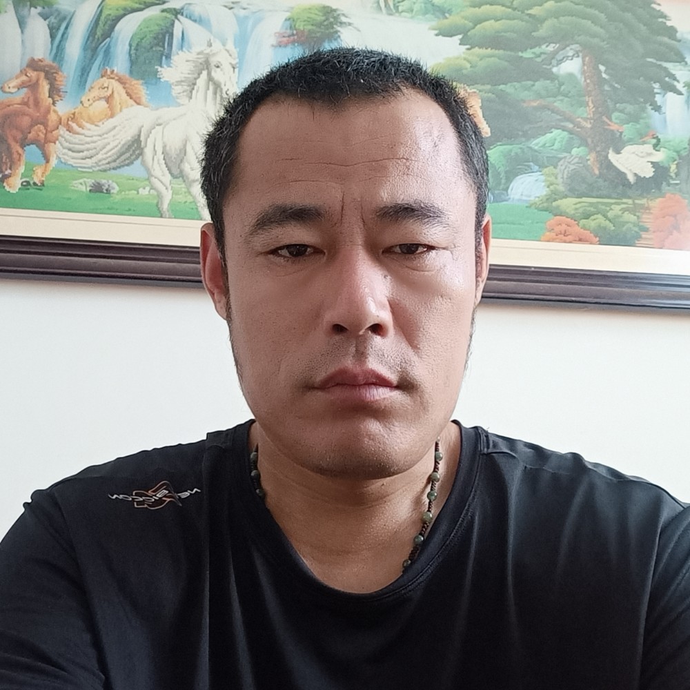 小猫爱钓鱼的照片