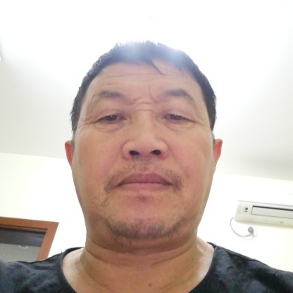 标致大雁忠诚的照片