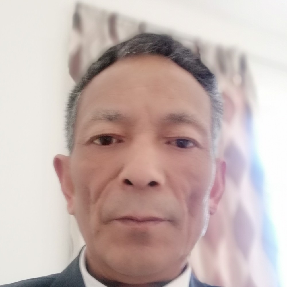 含羞草踢落寞的照片