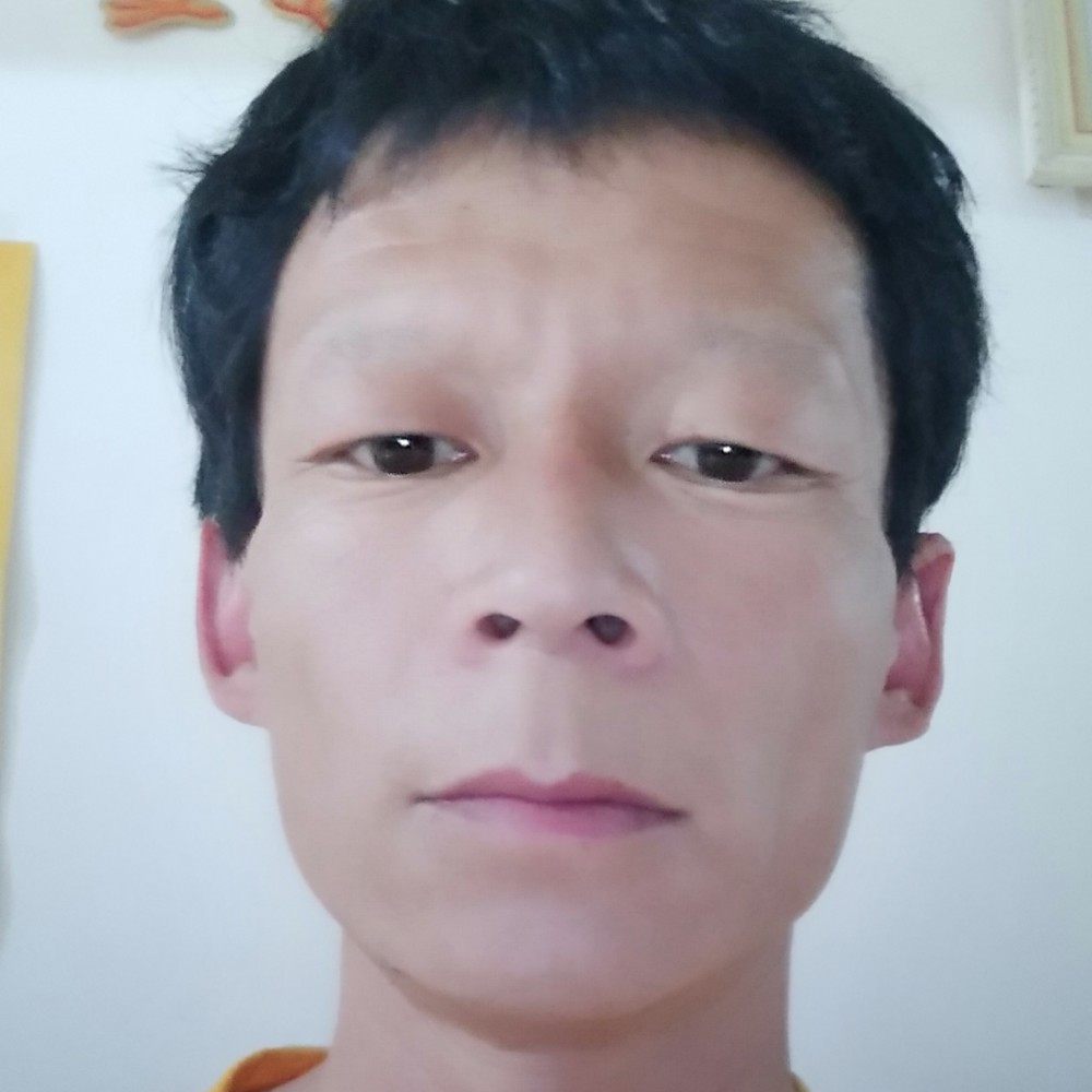 悦耳向白猫的照片