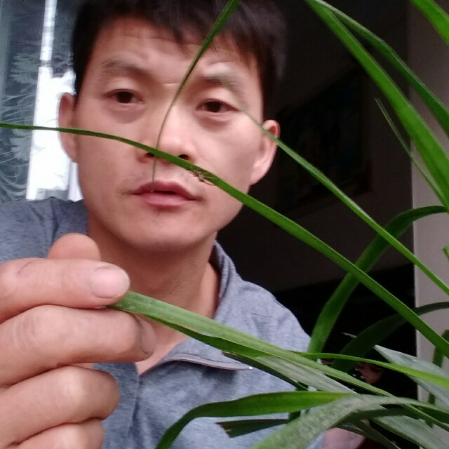 会员882367109的照片