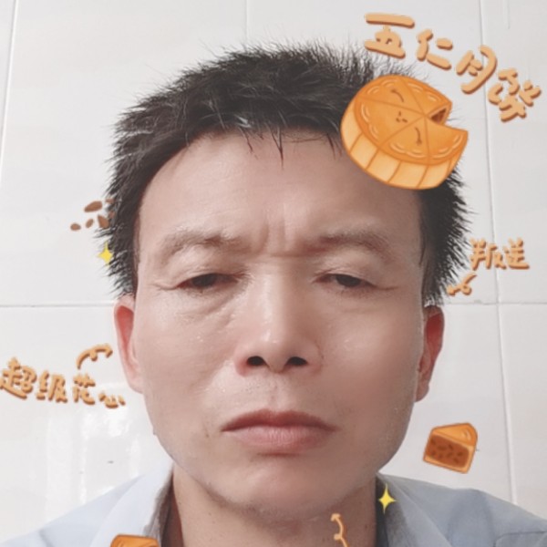 义气狗的照片