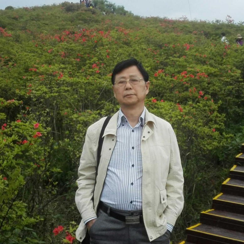 正直黄蜂的照片