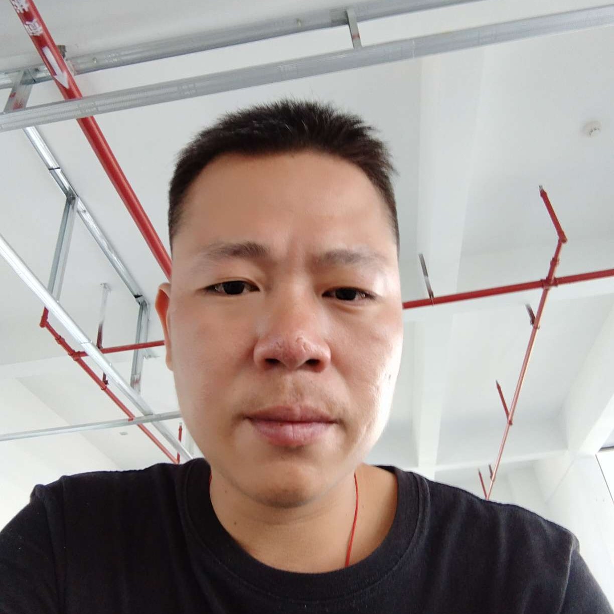 美丽闻钢笔的照片